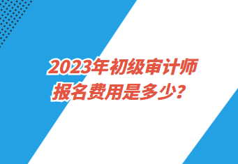2023年初級審計師報名費用是多少？