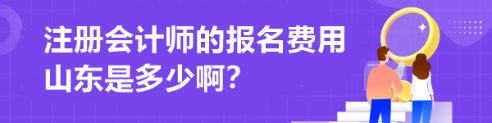 注冊會計師的報名費用山東是多少啊？