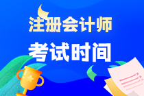 注會專業階段什么時候開始考試啊？
