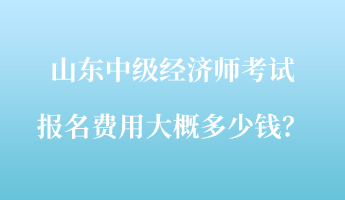 山東中級經濟師考試報名費用大概多少錢？