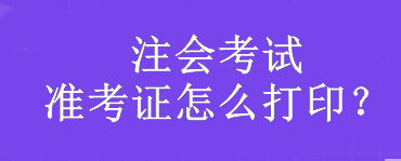 注會考試準考證怎么打??？