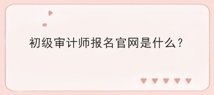 初級審計師報名官網是什么？