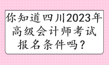 你知道四川2023年高級會計師考試報名條件嗎？