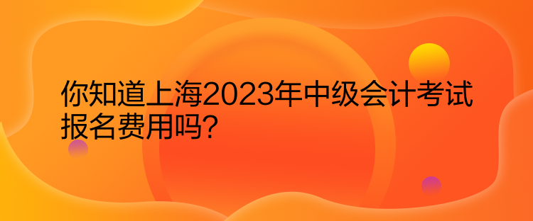 你知道上海2023年中級會計考試報名費用嗎？