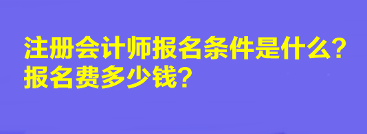 2023年注冊會計師報名條件是什么？報名費多少錢？