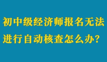 初中級經濟師報名無法進行自動核查怎么辦？