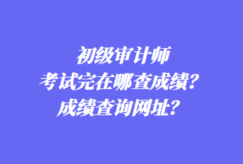 初級(jí)審計(jì)師考試完在哪查成績(jī)？成績(jī)查詢網(wǎng)址？