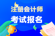 2024年注會考試報名網站是什么？
