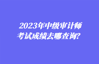2023年中級審計師考試成績去哪查詢？