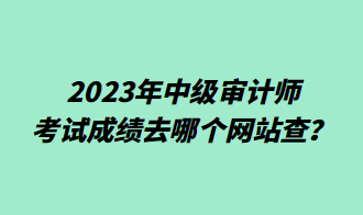 2023年中級(jí)審計(jì)師考試成績(jī)?nèi)ツ膫€(gè)網(wǎng)站查？