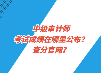 中級審計師考試成績在哪里公布？查分官網？