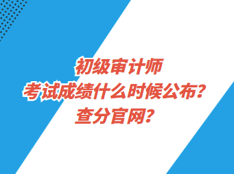 初級審計師考試成績什么時候公布？查分官網？