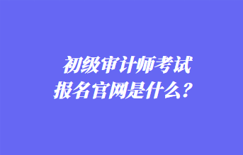 初級審計師考試報名官網是什么？