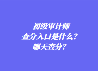 初級審計(jì)師查分入口是什么？哪天查分？