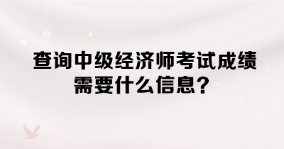 查詢中級(jí)經(jīng)濟(jì)師考試成績需要什么信息？