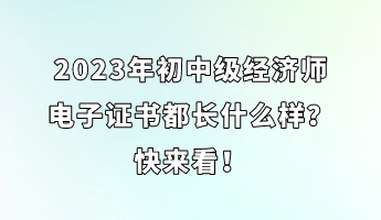 2023年初中級(jí)經(jīng)濟(jì)師電子證書(shū)都長(zhǎng)什么樣？快來(lái)看！