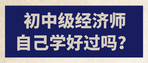 初中級經濟師自己學好過嗎？