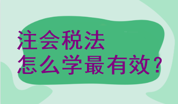 注會(huì)稅法怎么學(xué)最有效？