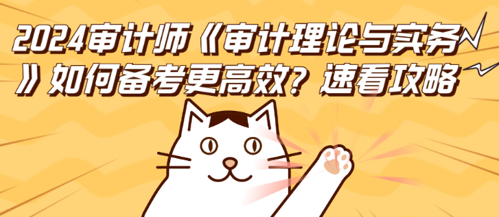 2024審計師《審計理論與實務》如何備考更高效？速看攻略！