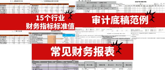 審計相關實操資料