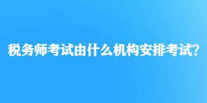 稅務師考試由什么機構安排考試？